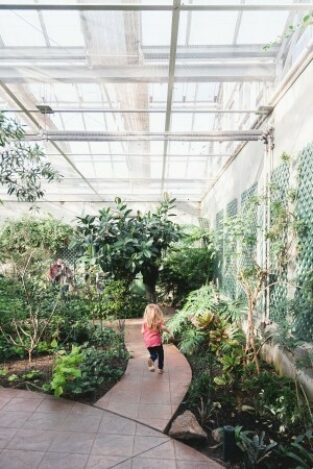Butterfly House & Aquarium @Taylor Nelson