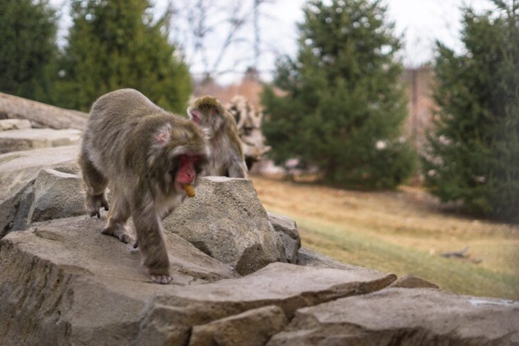 Great Plains Zoo
