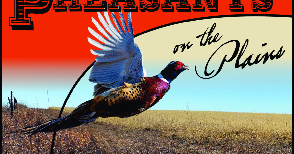 Pheasants on the Plains Exhibit at the Old… Experience Sioux Falls